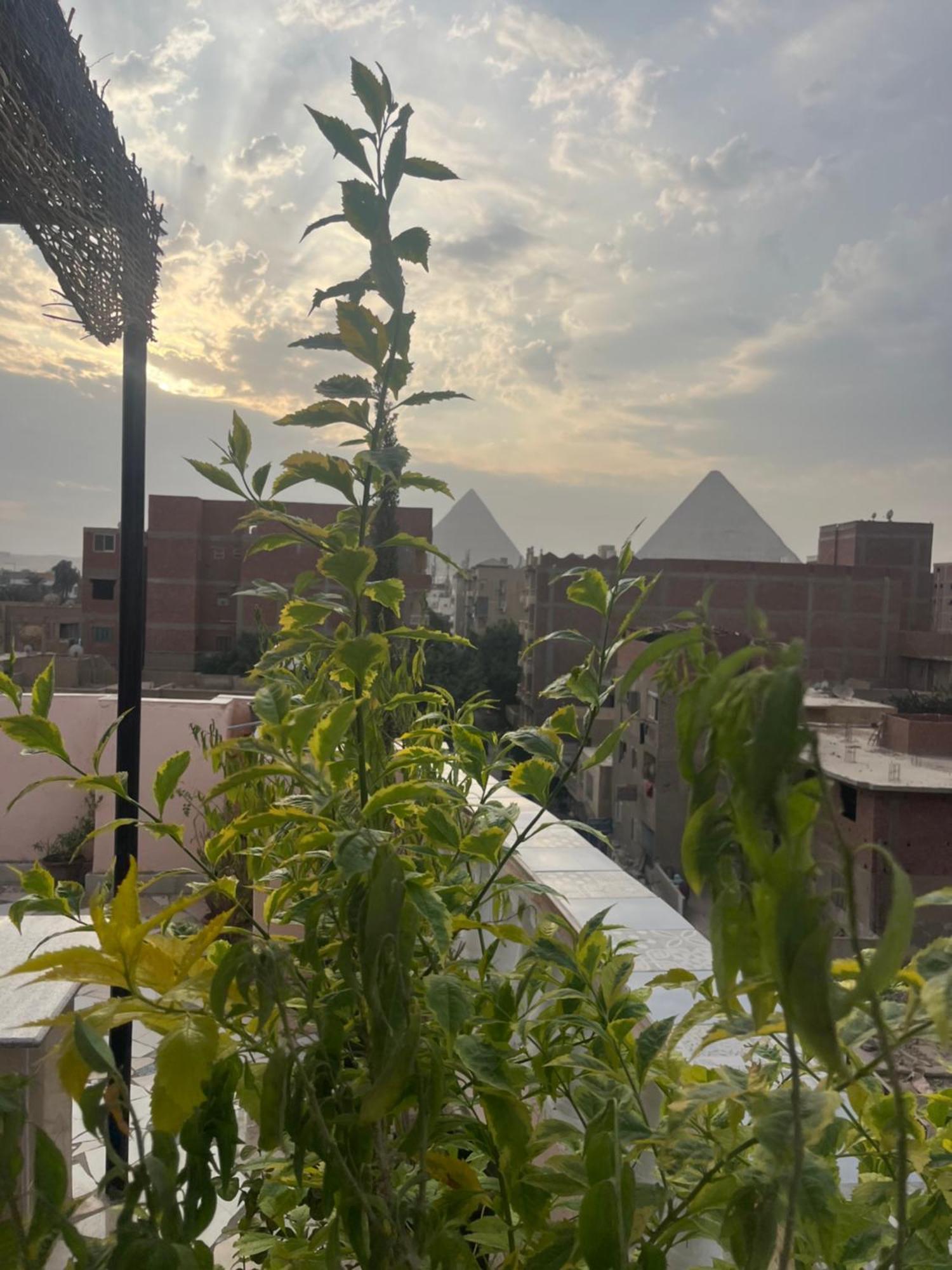 Badr Pyramids Inn Nazlet el-Sisi Экстерьер фото